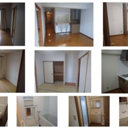 【マンション】ハミング松本　３０３号室 画像3